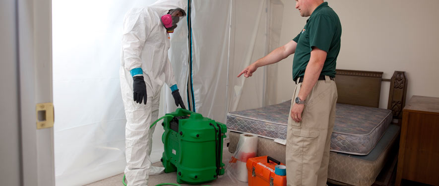 Burlingame, CA mold removal process